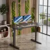 Electric Adjustable Standing Desk