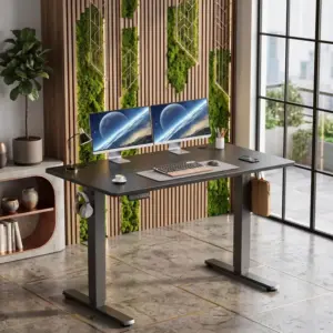 Electric Adjustable Standing Desk